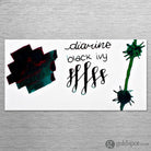 Diamine Inkvent Red Edition Sheen Bottled Ink in Black Ivy - 50 mL Bottled Ink