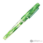 Esterbrook Camden Northern Lights Fountain Pen in Icelandic Green Fountain Pen