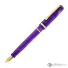 Esterbrook JR Pocket Paradise Fountain Pen in Purple Passion Fountain Pen