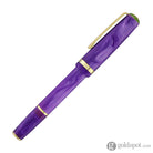 Esterbrook JR Pocket Paradise Fountain Pen in Purple Passion Fountain Pen