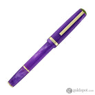 Esterbrook JR Pocket Paradise Fountain Pen in Purple Passion Fountain Pen