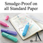 Faber Castell Pastel Textliner Marker Pen in Assorted Colors - Pack of 8 Marker