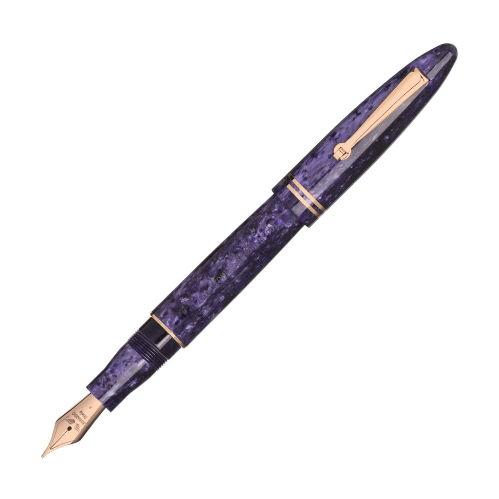 Leonardo Furore Fountain Pen in Purple with Rose Gold Trim Fountain Pen
