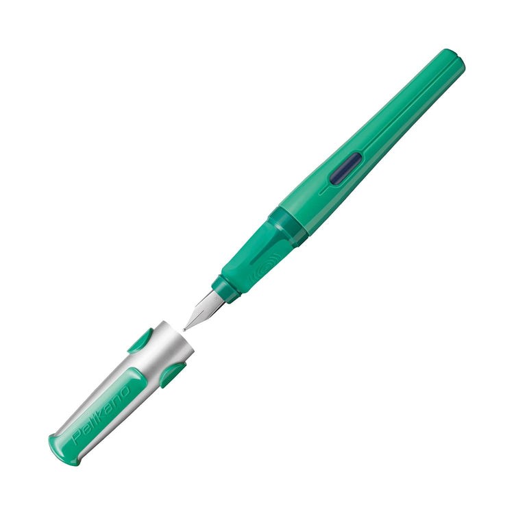 Pelikano Fountain Pen in Green Fountain Pen