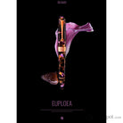 Penlux Masterpiece Delgado Fountain Pen in Euploea Fountain Pen