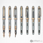 Platinum 3776 Century Fountain Pen in Nice Rose - 14K Gold Fountain Pen