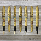 Platinum Kanazawa-Haku Fountain Pen in Matsu-Tora Fountain Pen