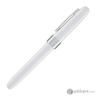 Platinum Plaisir Aura Fountain Pen in Healing Green Fountain Pen