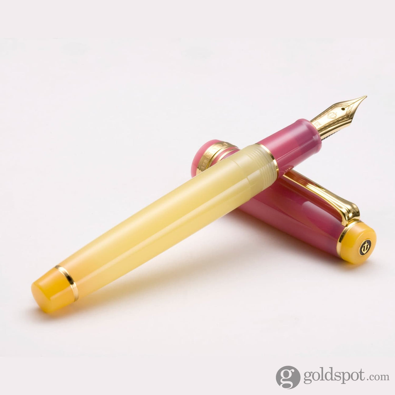 Sailor Pro Gear Regular - Goldspot Pens