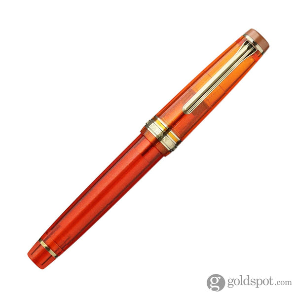 Sailor Pro Gear Regular Tea Time Fountain Pen in 21K Limited Edition Christmas Spice Tea Fountain Pen