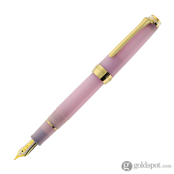 Sailor Pro Gear Slim Fountain Pen in Winter Rain - 14K Gold Medium Fine Point Fountain Pen