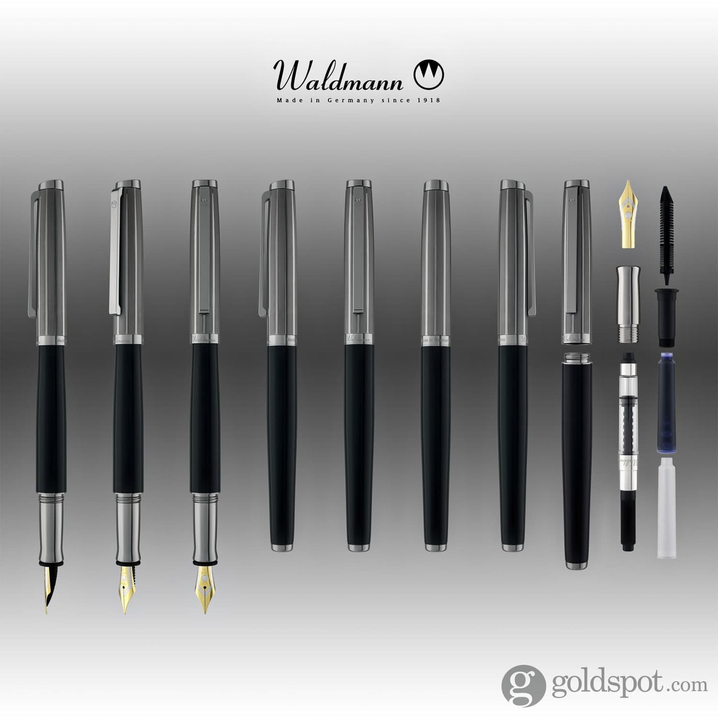 Waldmann Tuscany Fountain Pen in Frosted Ruthenium 18kt Gold Nib Fountain Pen